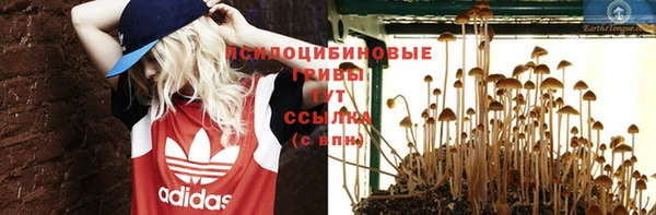 спайс Богородицк