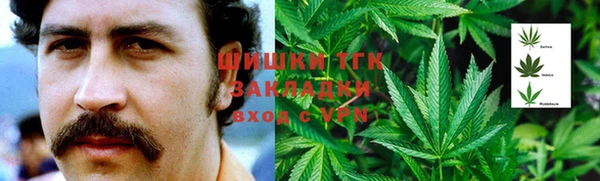 спайс Богородицк